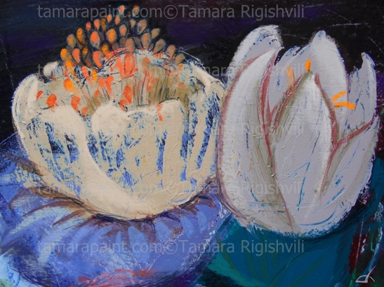  perfect flowers against black background, by Tamara Rigishvili
